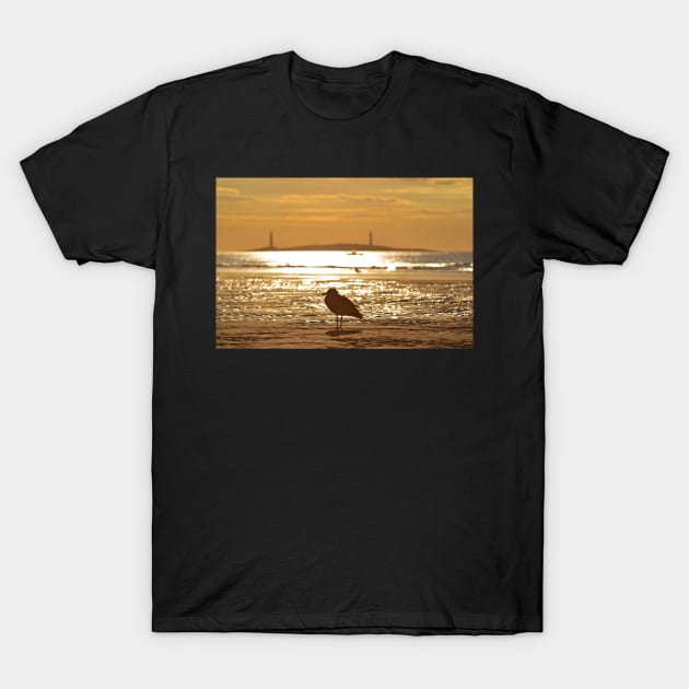 Seagull admiring Thacher Island Gloucester MA Good Harbor Beach T-Shirt by WayneOxfordPh